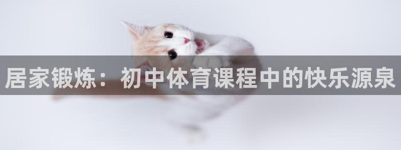 vsport体育