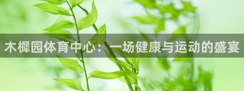 vsport体育