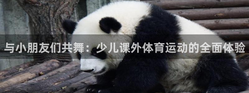vsport体育：与小朋友们共舞：少儿课外体育运动的全面体验