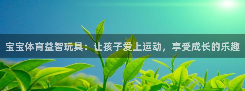 vsport体育在线官网：宝宝体育益智玩具：让孩子爱上运动，享受成长的乐趣