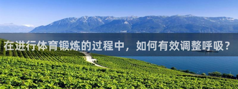 vsport体育在线官网