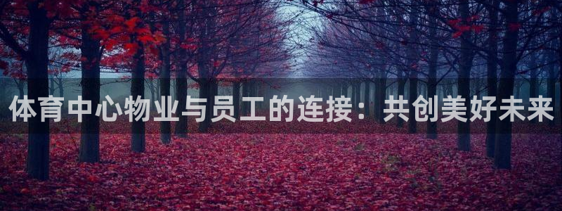 vsport体育在线官网