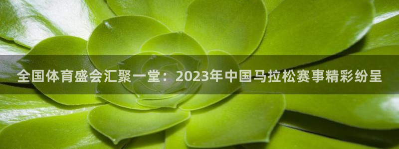 vsport体育在线官网：全国体育盛会汇聚一堂：2023年中国马拉松赛事精彩纷呈
