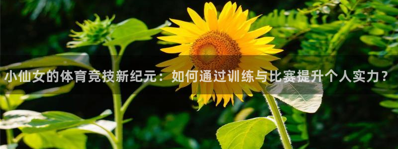 vsport体育在线官网：小仙女的体育竞技新纪元：如何通过训练与比赛提升个人实力？