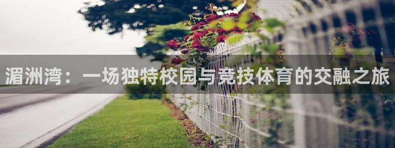 vsport体育：湄洲湾：一场独特校园与竞技体育的交融之旅