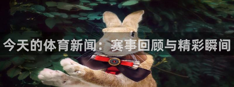 vsport体育在线官网：今天的体育新闻：赛事回顾与精彩瞬间